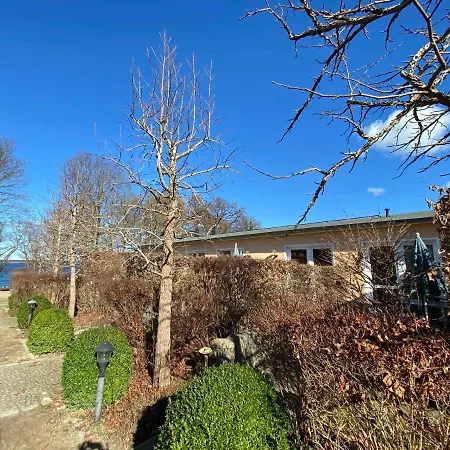 Kiefer We 3 Göhren-Lebbin