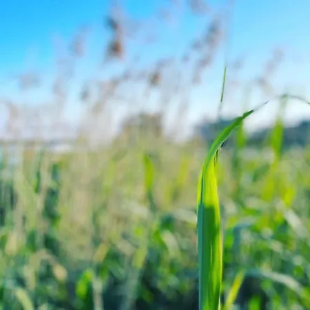 Διαμέρισμα Kiefer We 3 Göhren-Lebbin