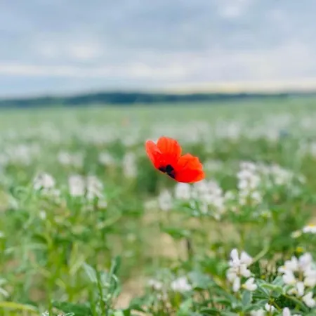 Kiefer We 3 Διαμέρισμα Göhren-Lebbin