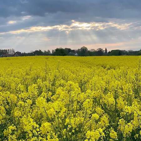 Kiefer We 3 Διαμέρισμα *