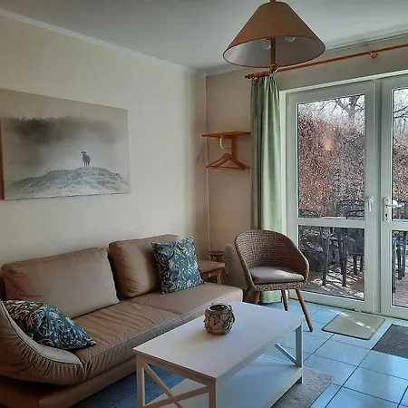 Kiefer We 3 * Göhren-Lebbin